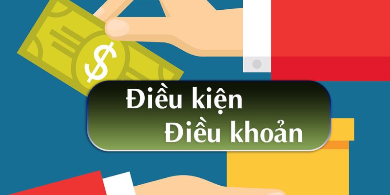 Điều kiện điều khoản quan trọng